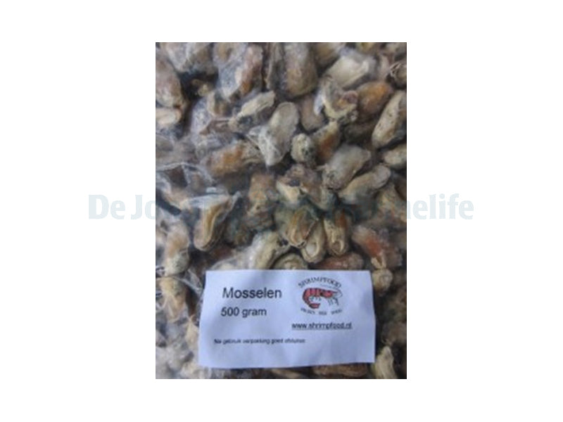 Frozen Mussels - 500 g