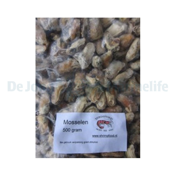 Frozen Mussels - 1 kg