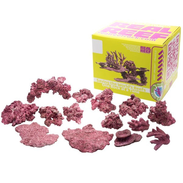 Real Reef Mix - 10-15pcs
