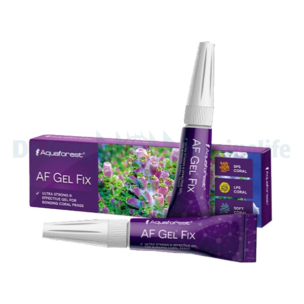 AF Gel Fix - 2x20gml
