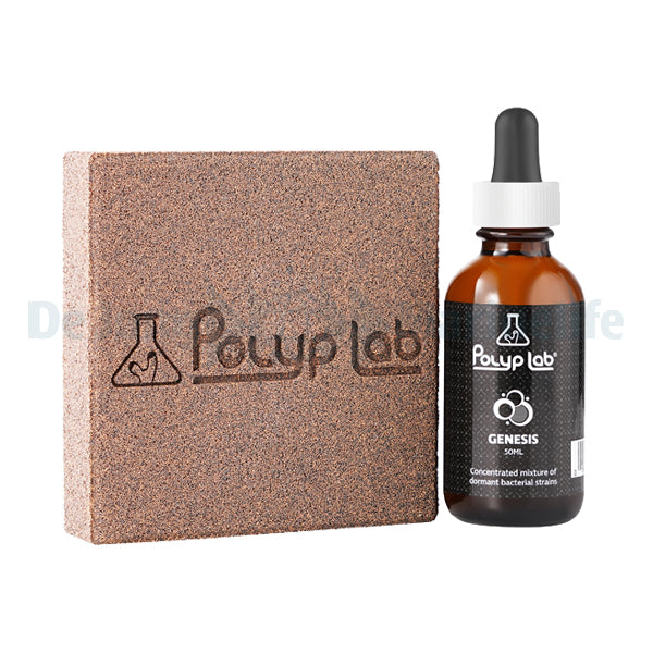 Genesis Rock - Pack of 2 + 50 ml Genesis bottle