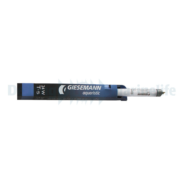 GIESEMANN POWERCHROME T-5 / 24 W - Actinic Blue