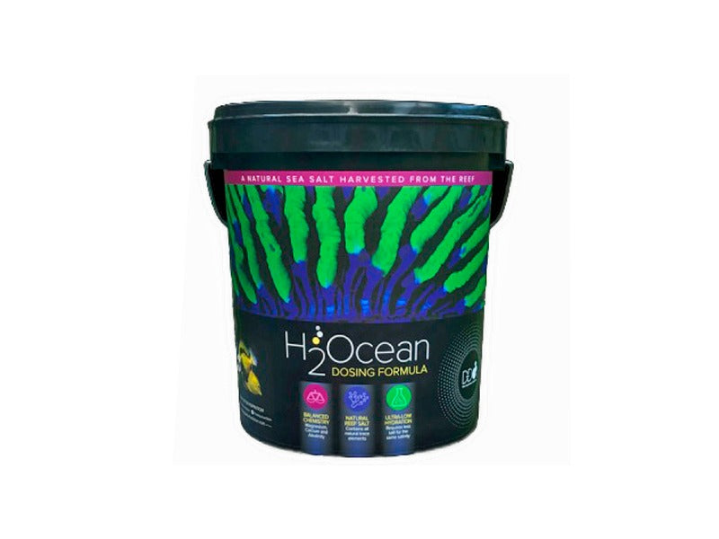 H2Ocean Dosing Formula Reef Salt