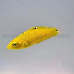 Halichoeres chrysus