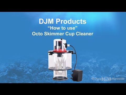 Cleaner 300 Skimmer Cup Cleaner