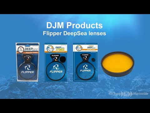 DeepSee Max - Magnified Aquarium Viewer
