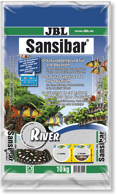 JBL Sansibar