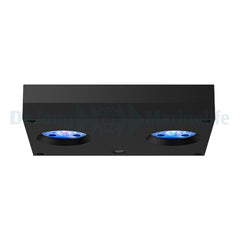 Hydra 32 HD LED - Black (incl  EU 220V cable)