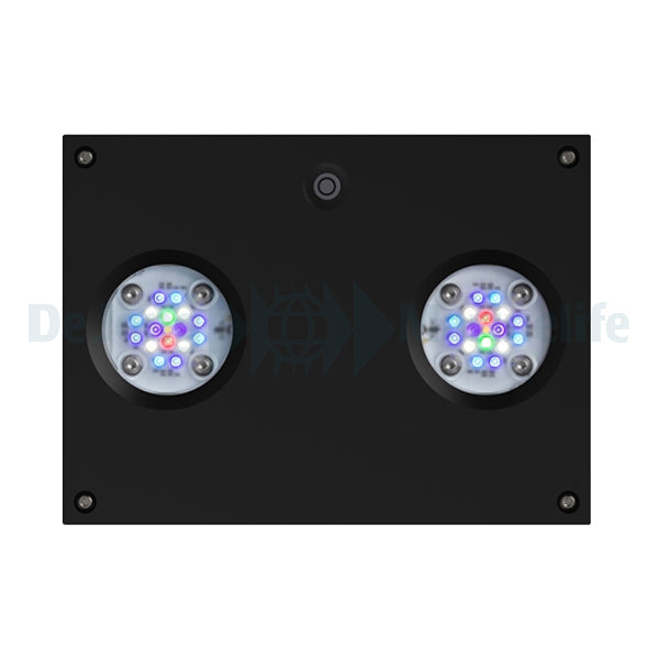 Hydra 32 HD LED Freshwater - Black (incl  EU 220V cable)