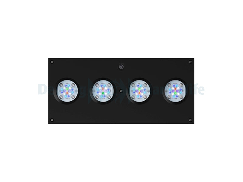 Hydra 64 HD LED - Black (incl  EU 220V cable)