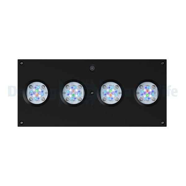 Hydra 64 HD LED - Black (incl  EU 220V cable)