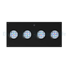 Hydra 64 HD LED - Black (incl  EU 220V cable)