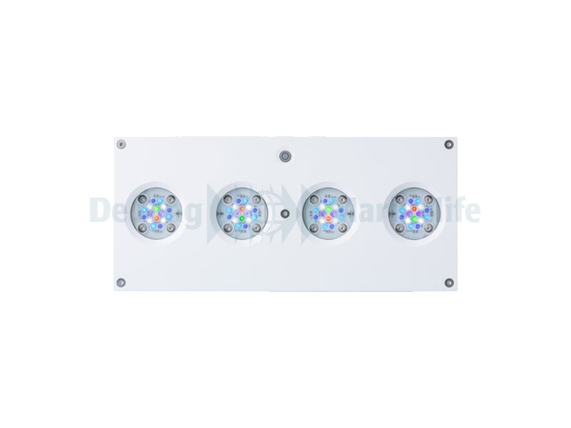 Hydra 64 HD LED - White/Silver (incl  EU 220V cable)