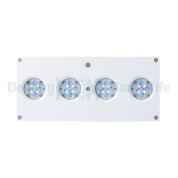 Hydra 64 HD LED - White/Silver (incl  EU 220V cable)