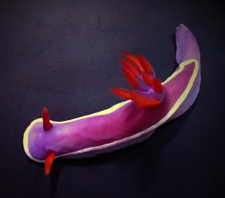 Hypselodoris bullockii