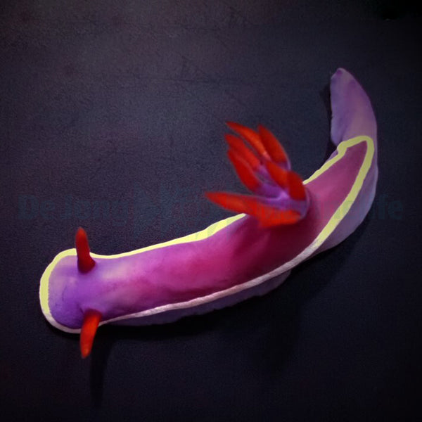 Hypselodoris bullockii