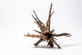 Selected CORBO-ROOT JUMBO XXL 80-120cm