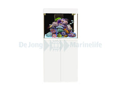 Kauderni CF white