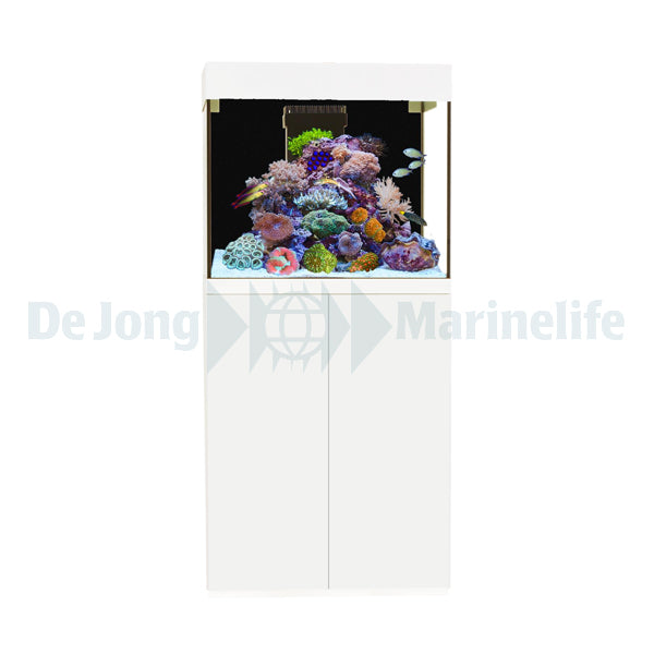 Kauderni CF white