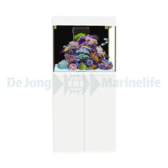 Kauderni CF white