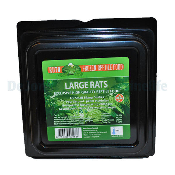 Large Rat - 250-350 g x 3 - 1 pc