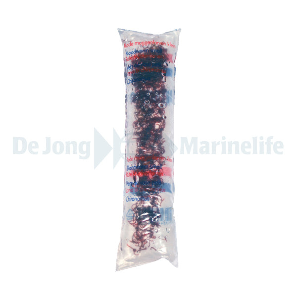 Live Food - Red Mosquito Small - 100 ml