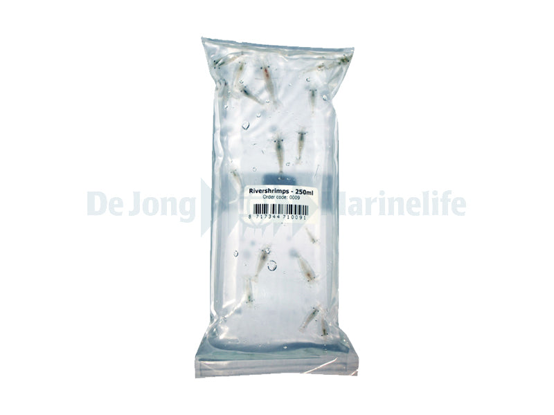 Live Food - River Shrimps 250 ml