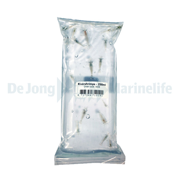 Live Food - River Shrimps 250 ml