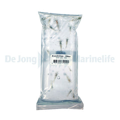Live Food - River Shrimps 250 ml