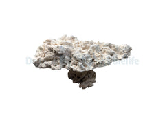 Marcorock - Pedestal Rock (natural top)