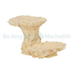 Mushroom Foot - 10 cm
