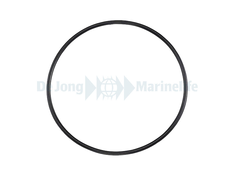 N24 Flange Seal