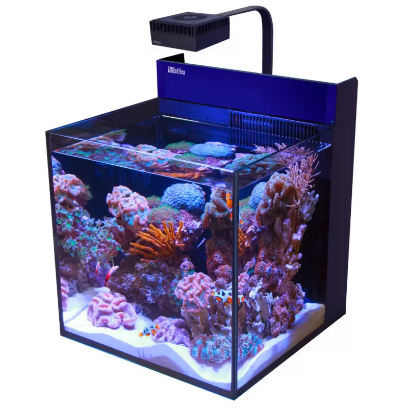 MAX Nano Cube G2