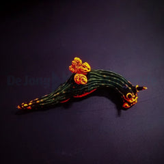 Nembrotha kubaryana
