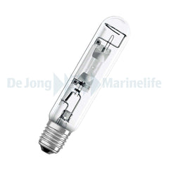 Nepturion - 150 W - 10 K - 150 CW