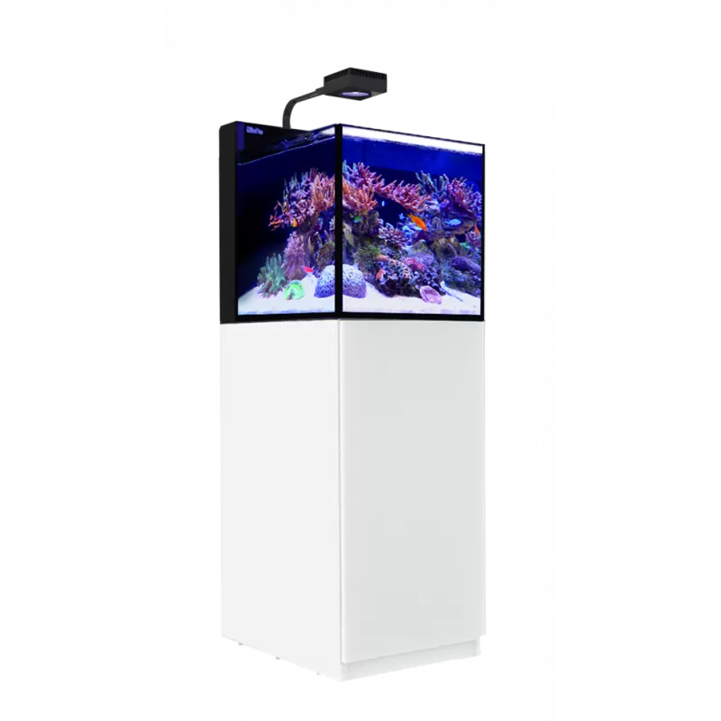 MAX Nano XL G2