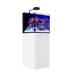 MAX Nano XL G2