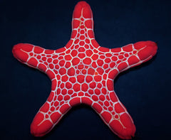Pentagonaster duebeni (Red)
