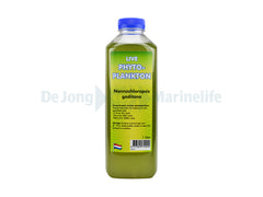 Phytoplankton Nannochloropsis Gaditana - 1 l