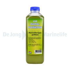 Phytoplankton Nannochloropsis Gaditana - 1 l