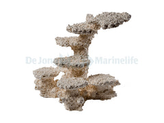 Pillar M oblique right