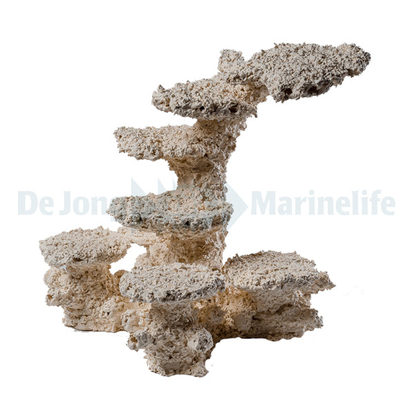 Pillar M oblique right