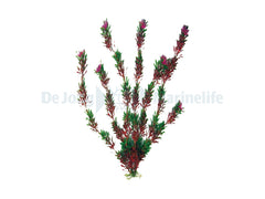 Plastic Plant Flora Bi-color 50cm