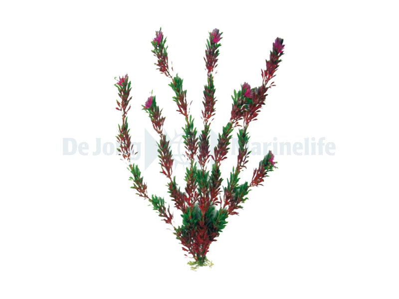 Plastic Plant Flora Bi-color 50cm