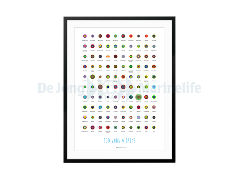 Poster 100 Zoas