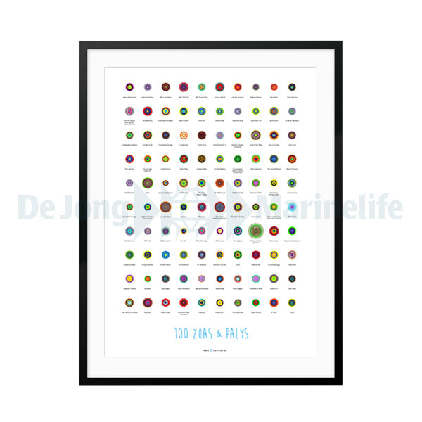 Poster 100 Zoas