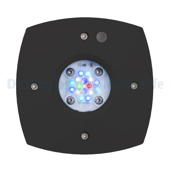 Prime 16 HD LED Light Freshwater - Black (incl EU 220V cable