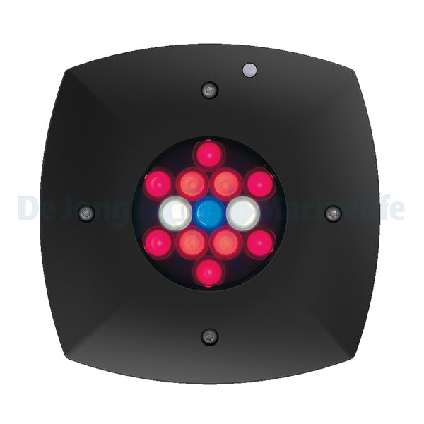 Prime Fuge - Black (incl EU 220V cable)