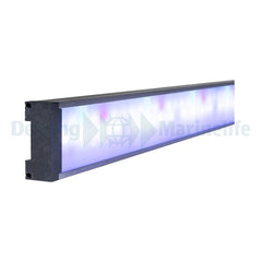 PULZAR G-3 Tropic - 40 W - 495 mm (Set)