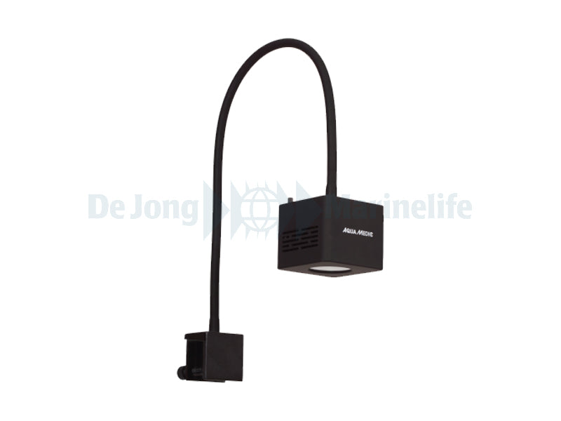 Qube 60